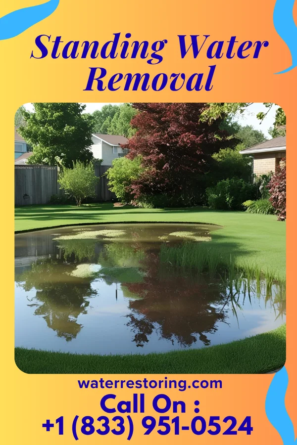 Standing Water Removal in Huntington Woods, MI